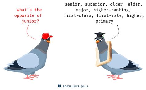 junior opposite|44 Junior Antonyms. Full list of opposite words of junior..